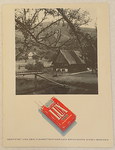 A0254.htm